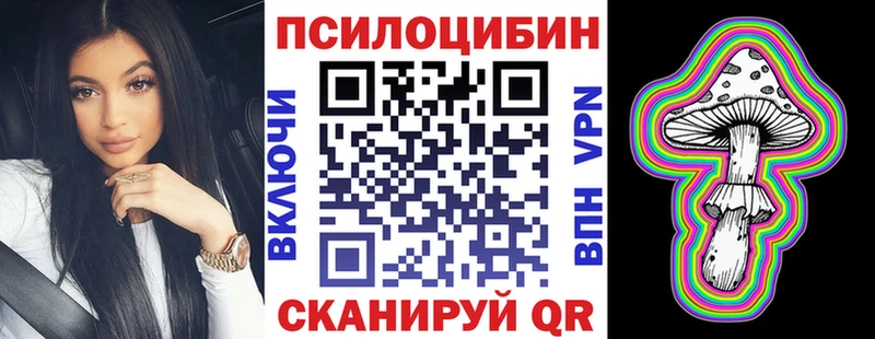 Псилоцибиновые грибы мухоморы  где продают наркотики  кракен   Новопавловск 